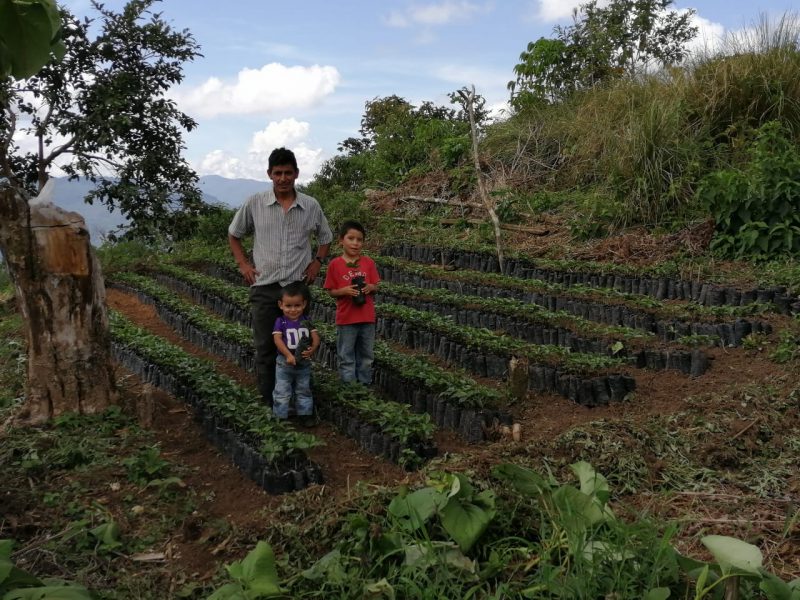 Ishmeal and son with coffee plants honduras coffee growers